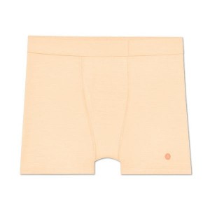 Bielizny Allbirds Trino® Bokser Brief Męskie Brązowe | PL4272TV