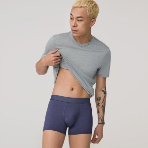 Bielizny Allbirds Trino® Trunk Męskie Granatowe | PL4281CE