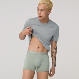 Bielizny Allbirds Trino® Trunk Męskie Zielone | PL4280VD