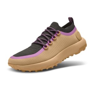 Buty Trekkingowe Allbirds Trailowe Runner SWT Męskie Brązowe Fioletowe | PL4207AP