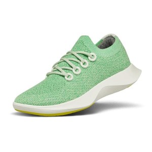 Buty do Biegania Allbirds Tree Dasher 1 Męskie Mięta | PL4173MA